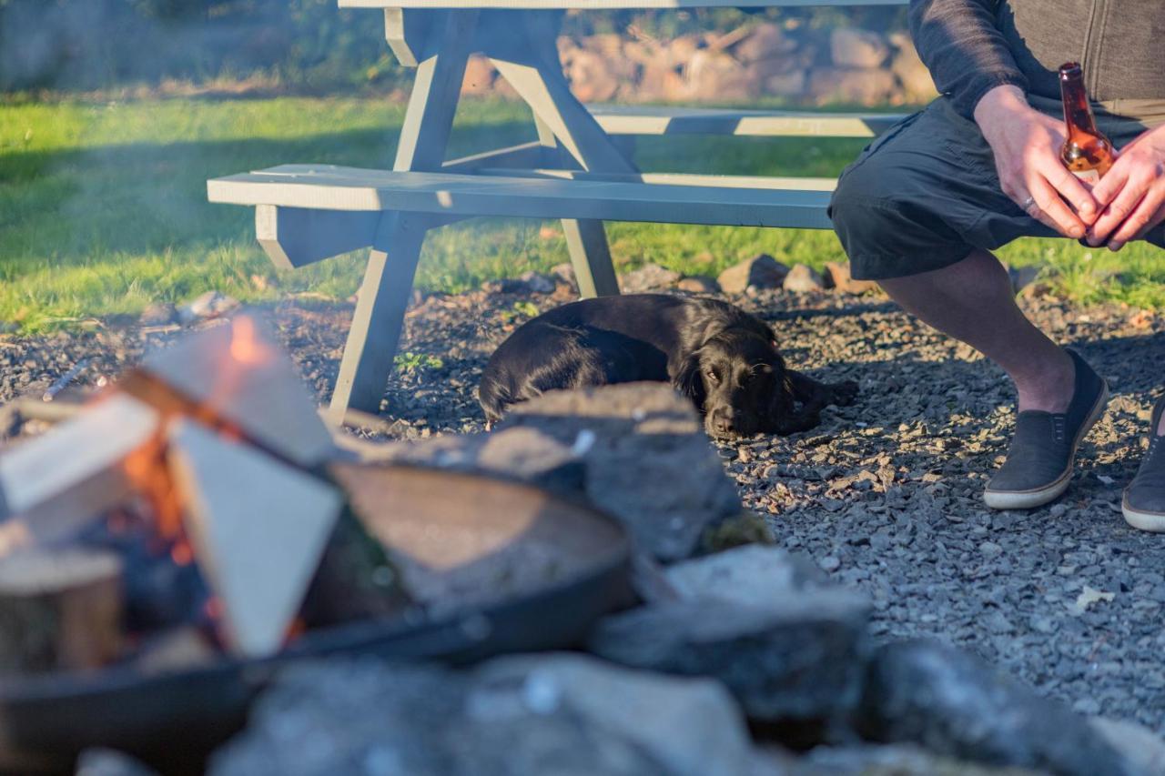 Duneden Belle Glamping Randalstown 外观 照片